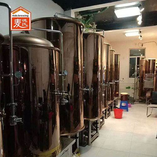 延邊鮮釀啤酒設(shè)備100l啤酒設(shè)備廠(chǎng)家 麥德氏